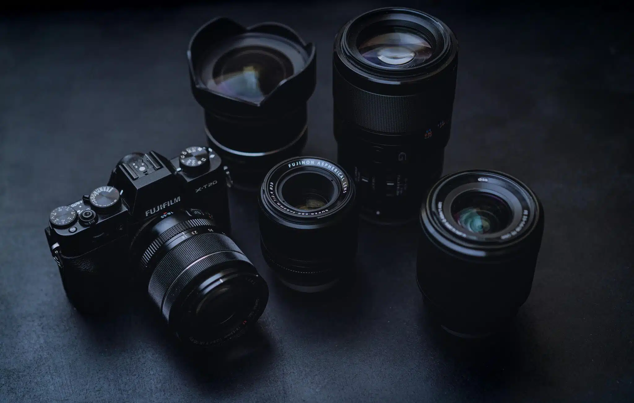 Basic Camera Settings for Wildlife Photography