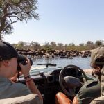 african-impact-other-activities-kruger-national-park.jpg