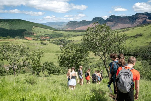 View of volunteers walking through large landscape of the African wild