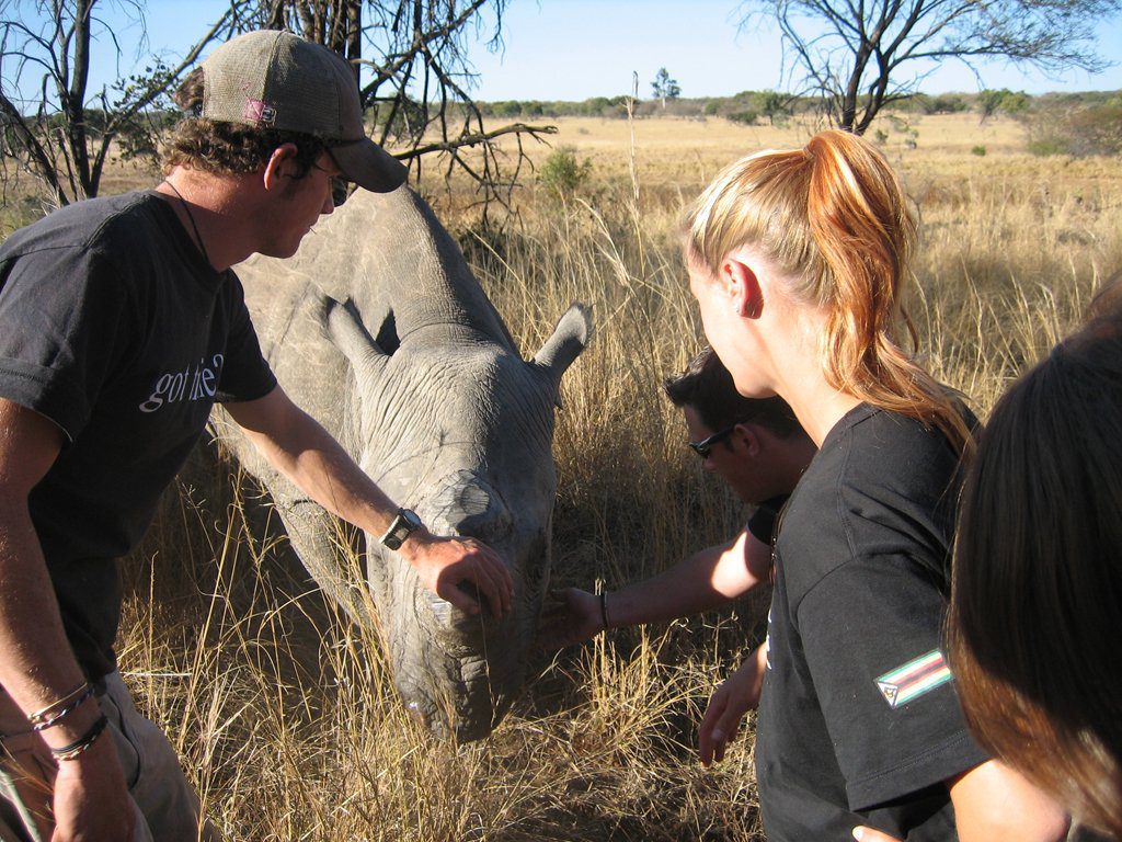 horse-riding-elephant-rhino-conservation-volunteer-zimbabwe-african-impact