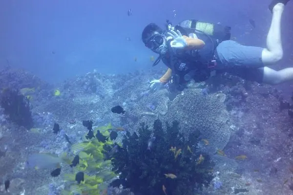 marine-conservation-mozambique-volunteer-african-impact (10) marine-research-conservation-mozambique-volunteer-african-impact