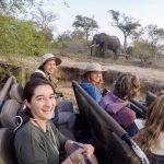wildlife-conservation-research-internship-kruger