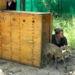 Working with animals in Umoya Khulula