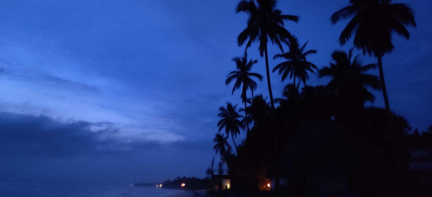 Night sky view at a beach in Zanzibar.