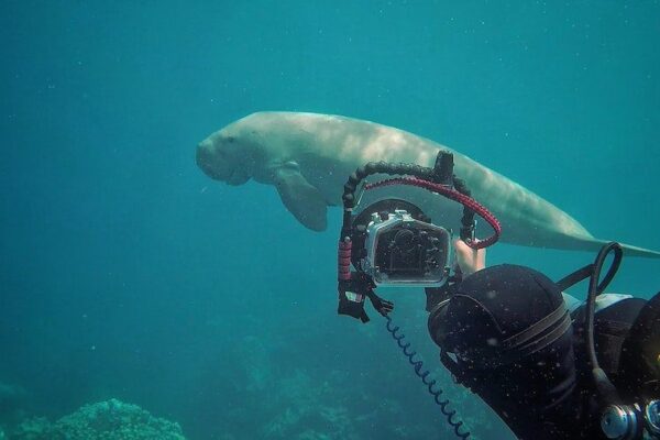 marine-science-environmental-conservation-volunteer-mozambique-african-impact-25 marine-science-environmental-conservation-volunteering-Africa