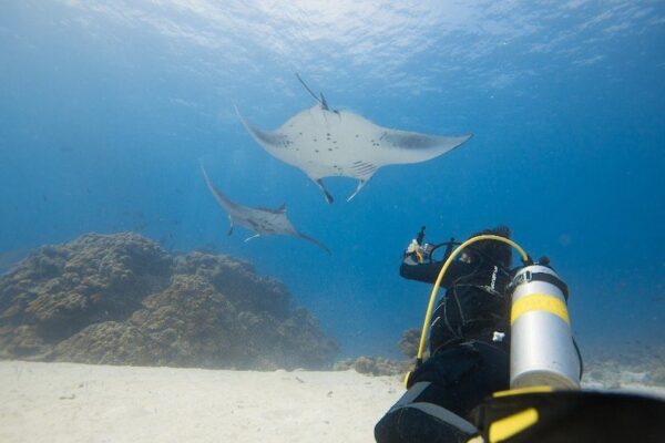 marine-science-environmental-conservation-volunteer-mozambique-african-impact-26 marine-science-environmental-conservation-volunteering-Africa