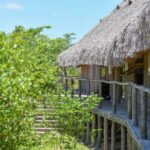 marine-science-environmental-conservation-volunteering-Africa