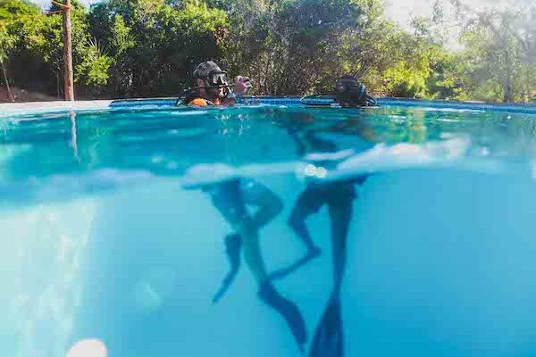 Dolphin-research-diving-africa marine-science-environmental-conservation-volunteering-Africa