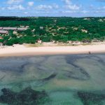 marine-science-environmental-conservation-volunteering-Africa