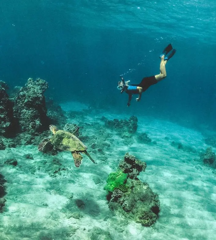 Volunteer subadriving underwater on project .