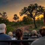 into-the-wild-gap-year-programme-greater-kruger-area-africa