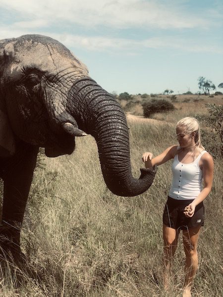 volunteer up-close encounter with an elephant in Africa