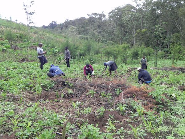 reforestation-environmental-education-volunteer-kenya