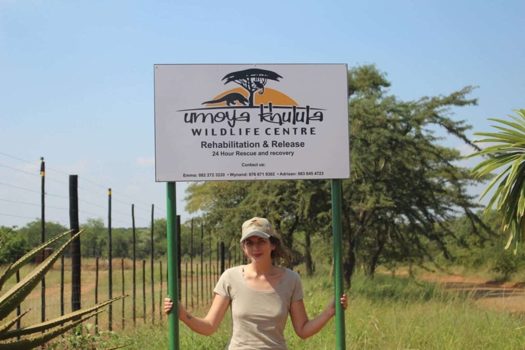 wildlife rehabilitation rescue and release volunteer at the wildlife center
