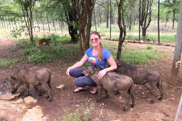 wildlife rehabilitation rescue and release volunteer with wild animals