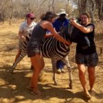 volunteer-wildlife-rehabilitation-centre-rescue-release-south-africa