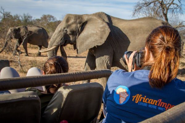 photography volunteer taking pictures of wild elephants in Africa
