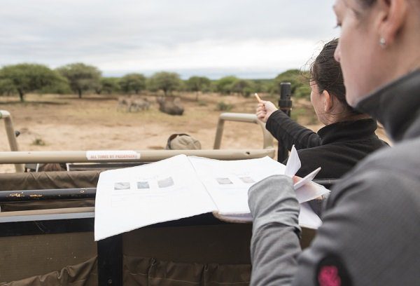 Volunteers seated inside safari vehicle documenting on-site wildlife research
