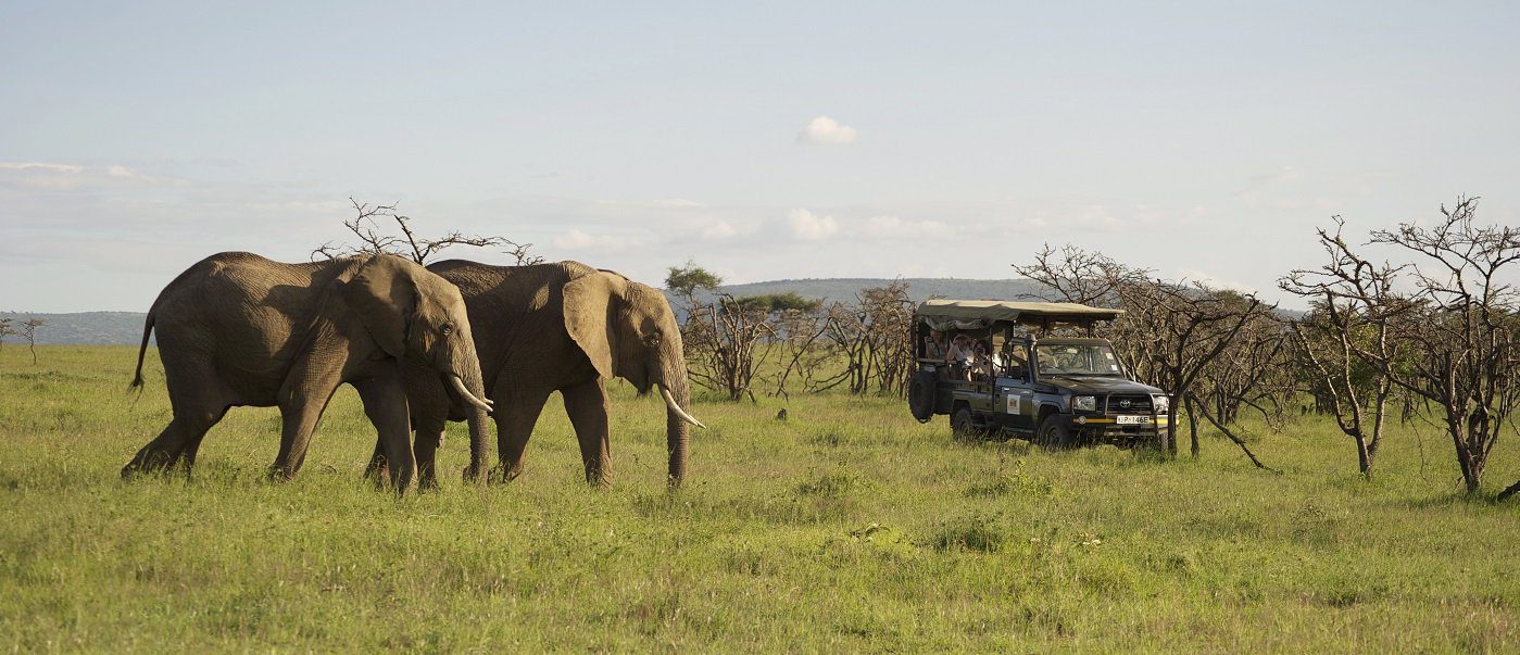 Kenya Big 5 safari