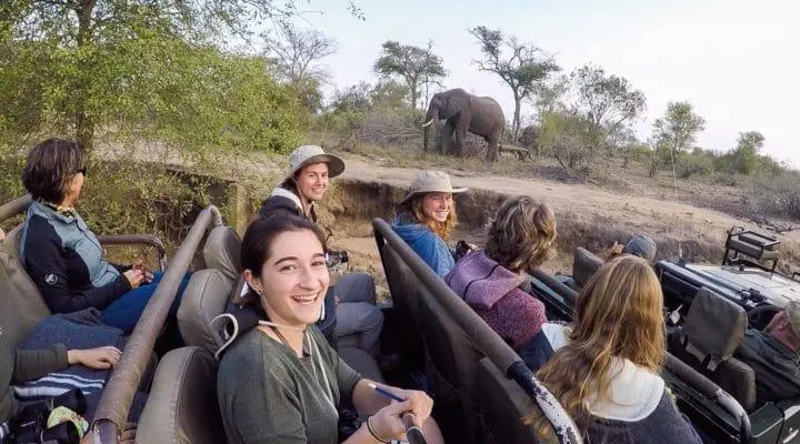 research-wildlife-conservation-volunteer-african-impact-south-africa.jpg