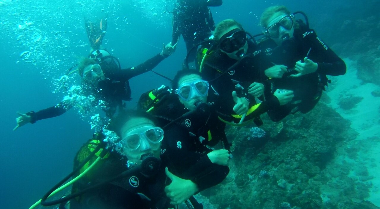 diving in mozambique