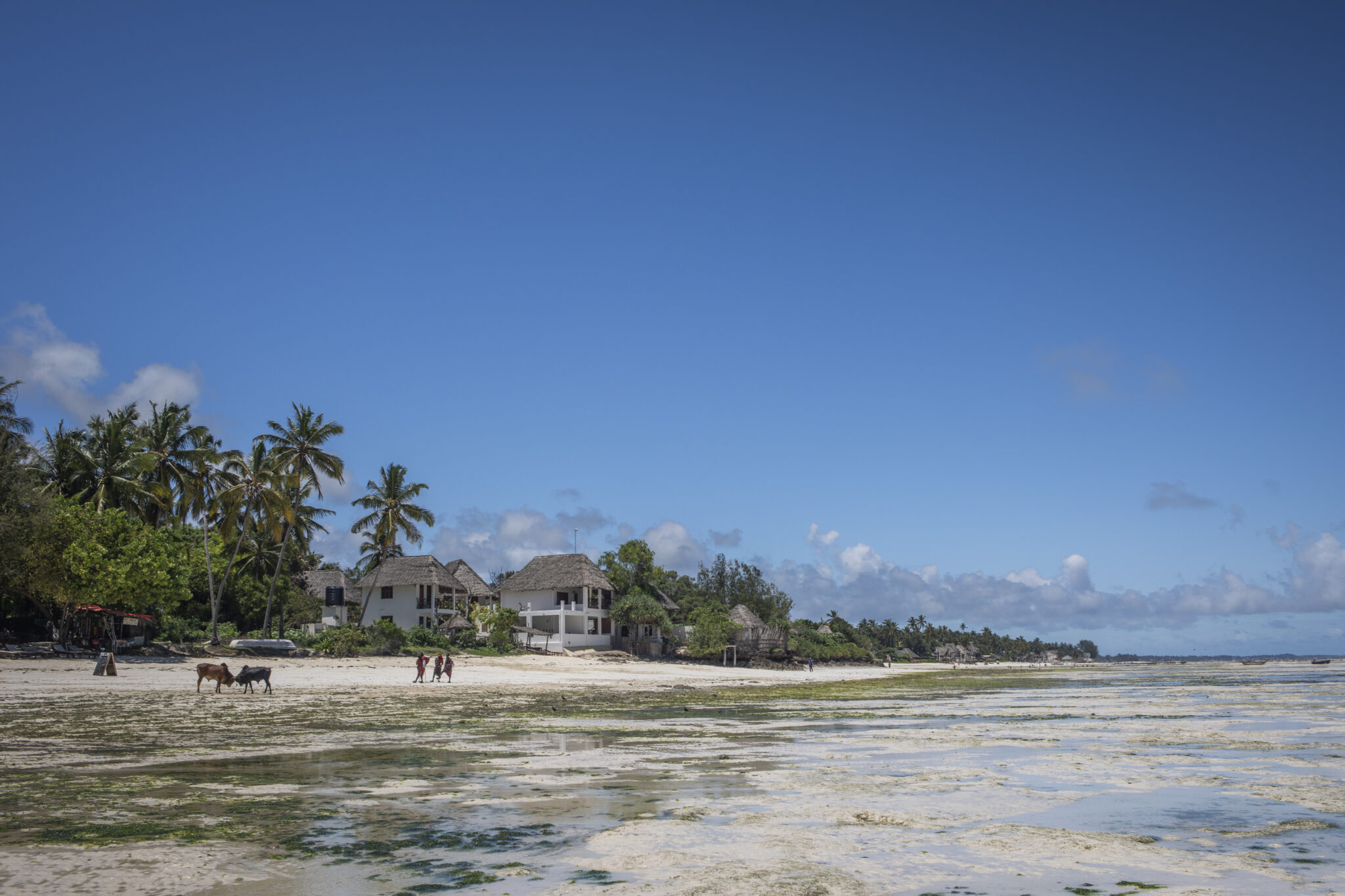 a landscape photo of houses near the sea in Zanzibar