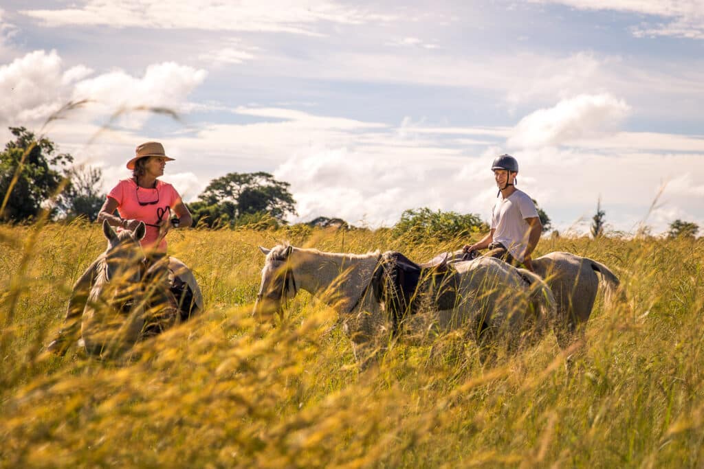 HORSE SAFARI Two individuals riding horses through a field of tall grass