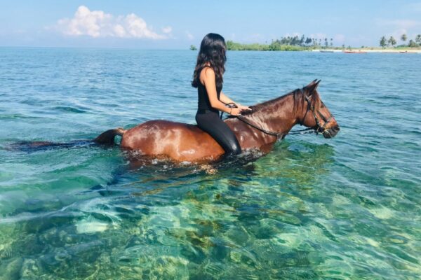 Horse Riding Horse Riding