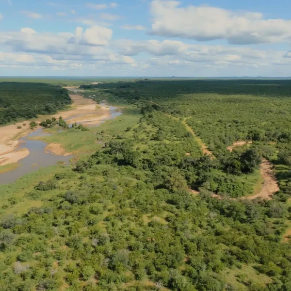 392fdd9567ea4a95888104e13e149040-1