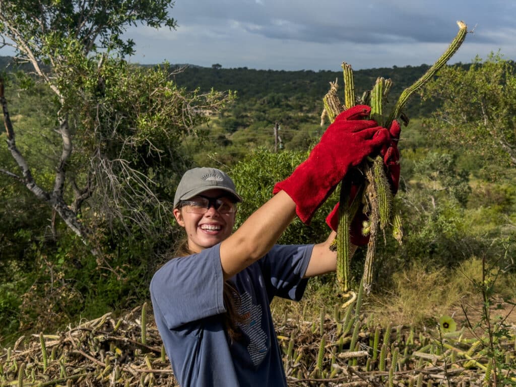 Active Participation