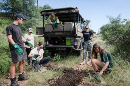 Active Participation