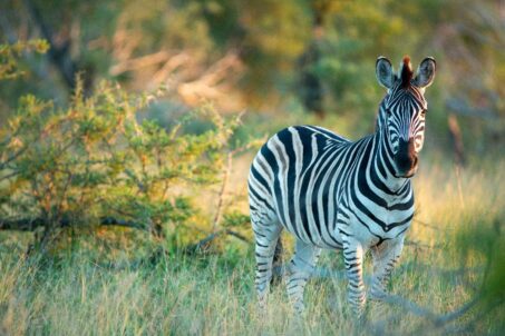 AdobeStock_722901922