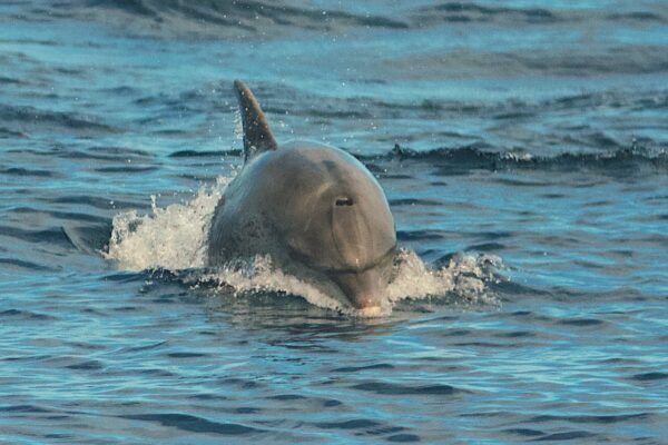 Gallery 13 Gallery 13