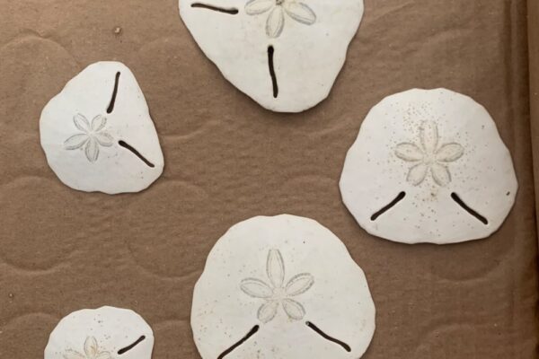 Gallery 14 Gallery 14