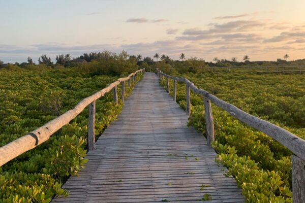 Gallery 15 Gallery 15