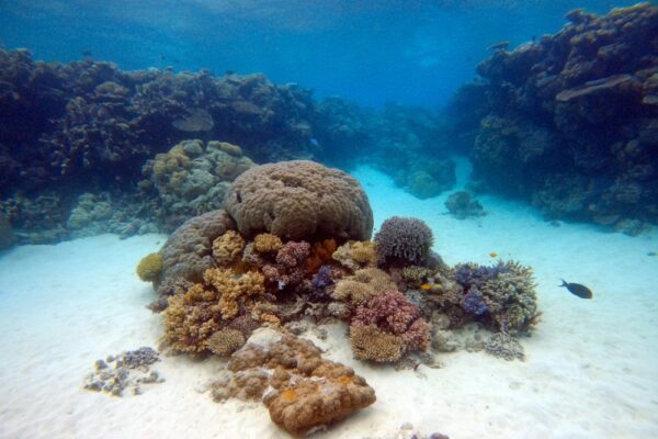 Gallery 16 Gallery 16