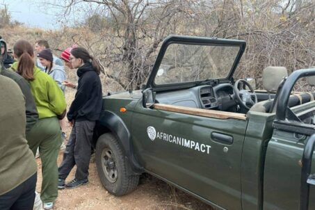 Gallery - Game Viewer