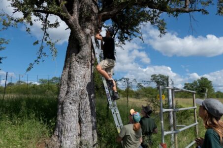 KRBB Highlight - Conservation