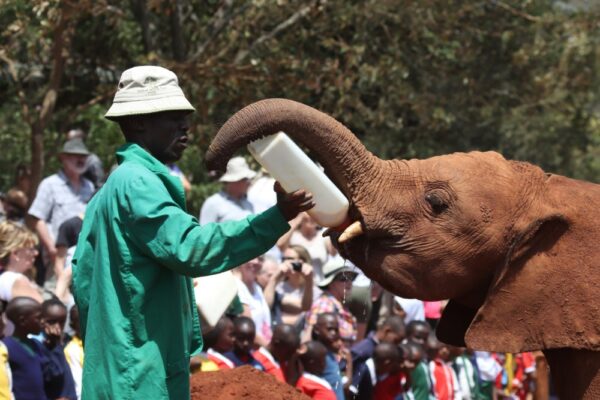 Nairobi Nairobi