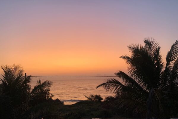 Tropical Paradise 2 Tropical Paradise 2