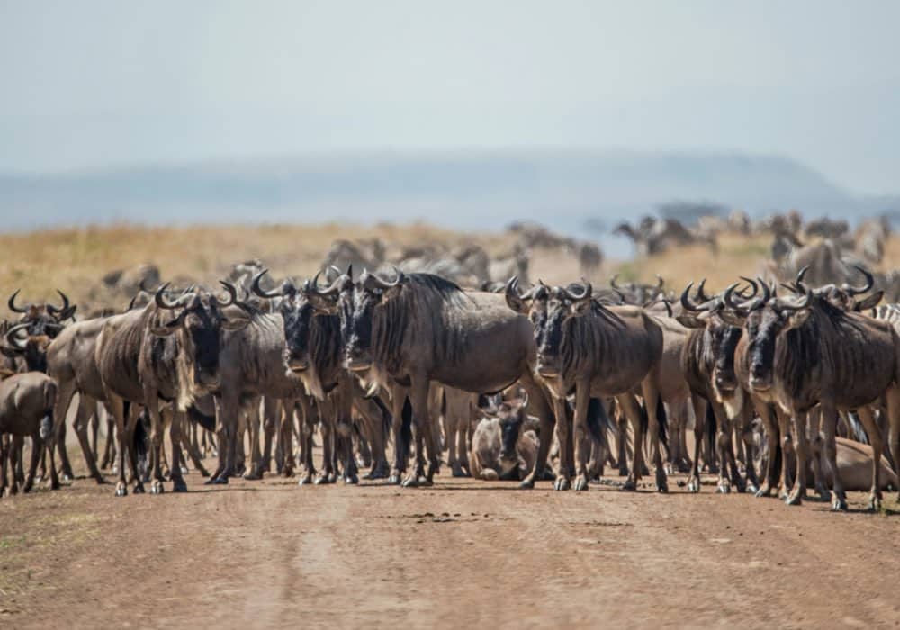 david-clode-azAbifyYlAM-unsplash