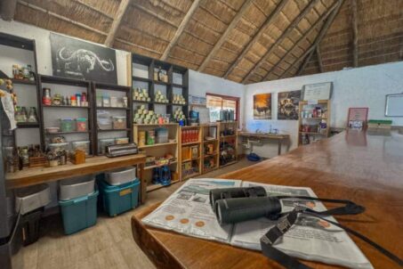 gallery - research area