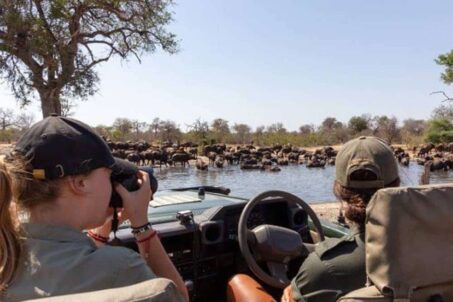 gallery - river crosssing