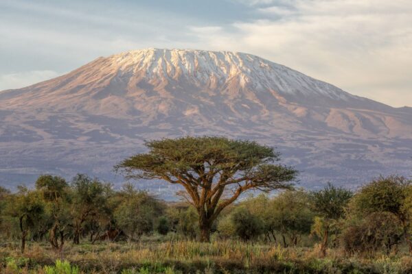 mount killamanjaro
