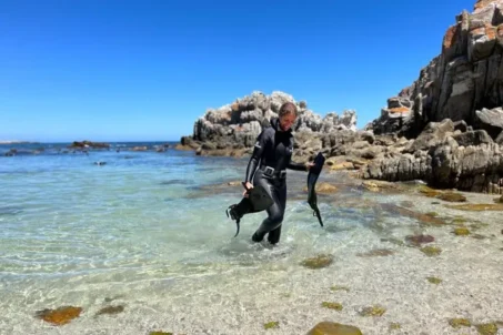 A volunteer in a wetsuit walks through shallow water.