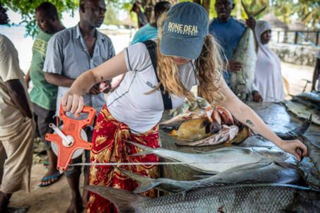 CONSERVATION EFFORTS