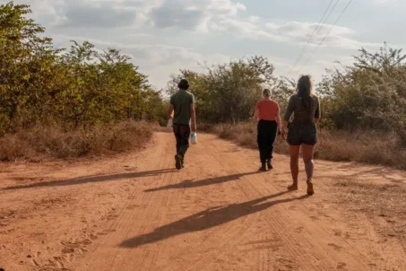 Three volunteers stroll down a sunlit dirt road.