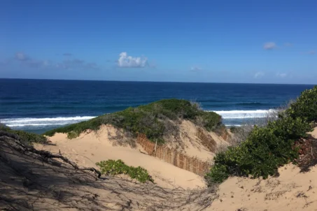 A scenic ocean view from a sandy dune under a clear blue sky.