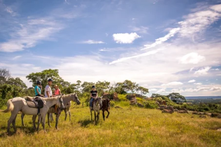 People on horseback enjoying a sunny day on a grassy hill.