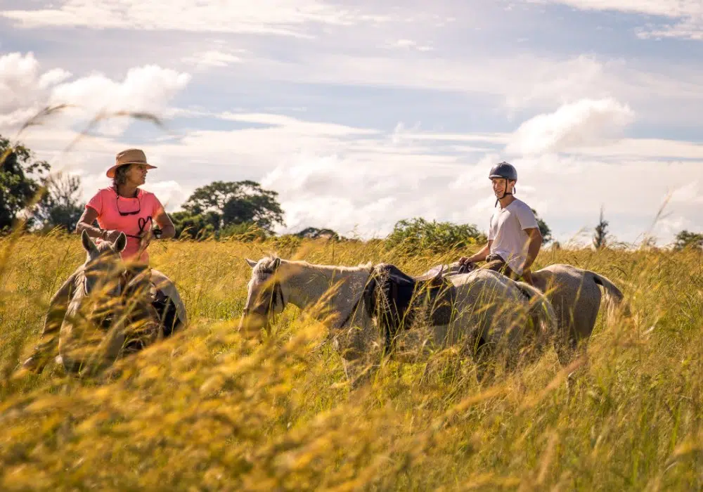 Two individuals riding horses through a field of tall grass